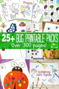Bug Printables for Kids - Itsy Bitsy Fun