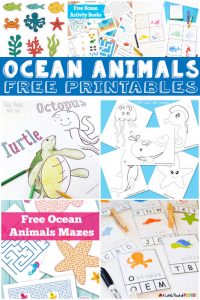 15+ Ocean Animal Printables for Kids - Itsy Bitsy Fun
