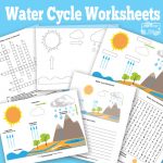 Free Printable Water Cycle Worksheets + Diagrams - Itsy Bitsy Fun
