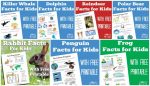 Fun Facts for Kids - free learning printables - Itsy Bitsy Fun