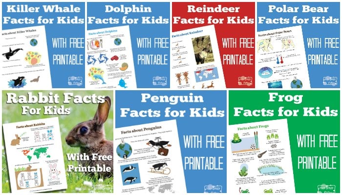 Fun Facts for Kids - free learning printables 