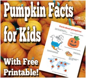 Fun Facts for Kids - free learning printables - Itsy Bitsy Fun