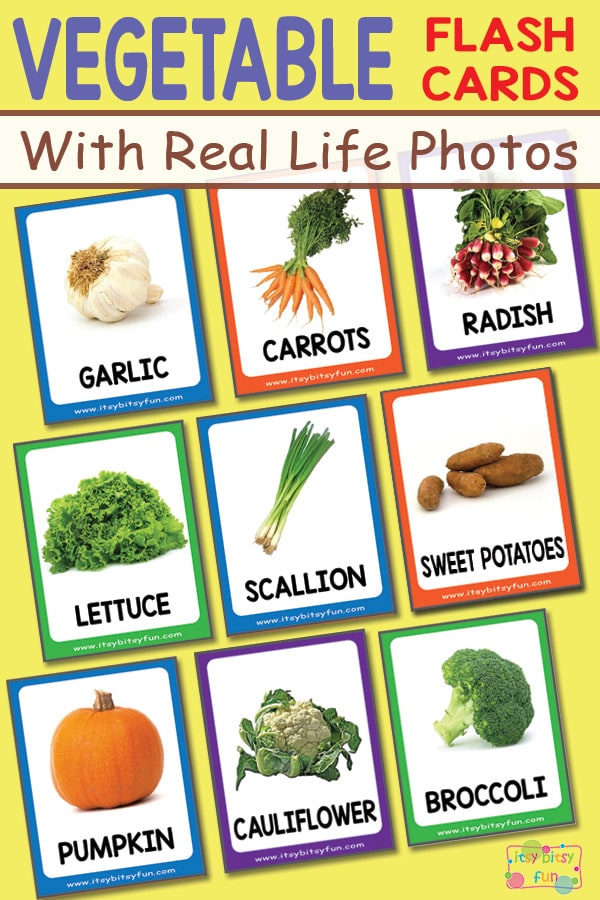 Free Pritnable Vegetable Flashcards with Real Life Photos