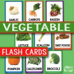 Vegetable Flashcards with Real Life Photos