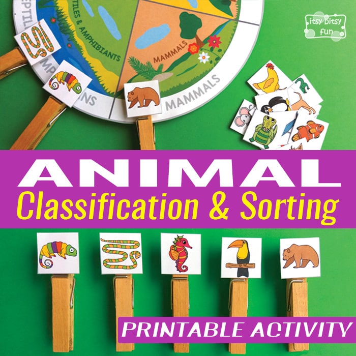 Animal Classification and Sorting Free Printable Activity