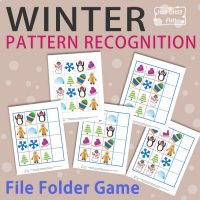 Winter Pattern Recognition File Folder Game