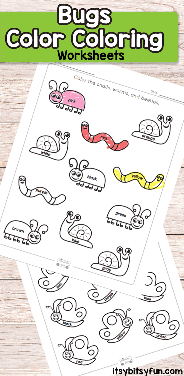 Bugs Color Coloring Worksheets