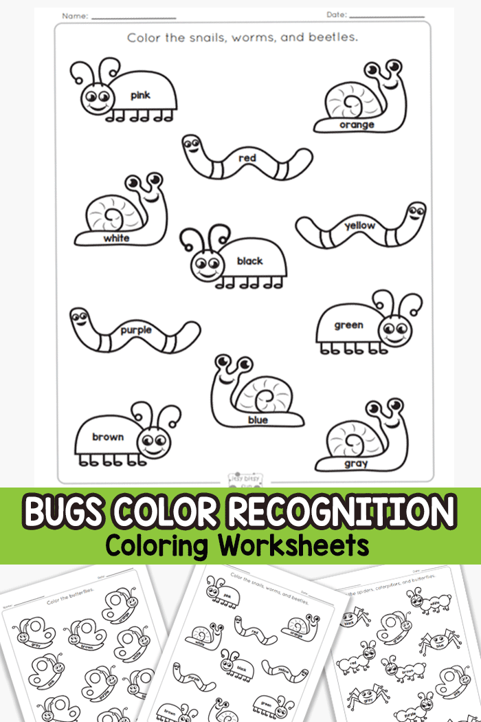 Color Coloring Worksheets Bug Theme