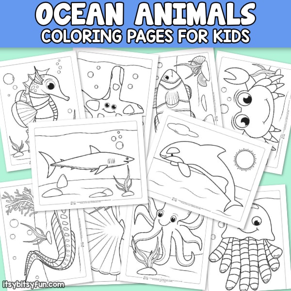 10 Ocean Animals Coloring Pages.