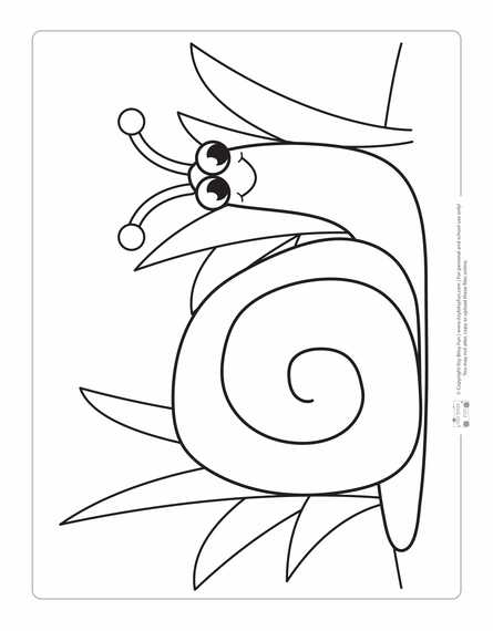 Snail Coloring Page