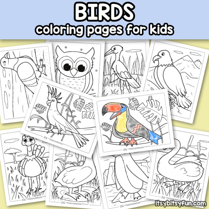 Printable Birds Coloring Pages for Kids