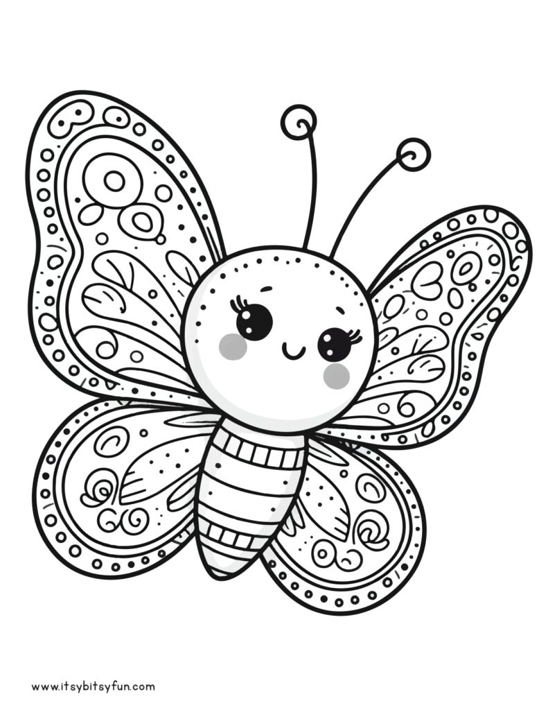 Detalied butterfly illustration to color.
