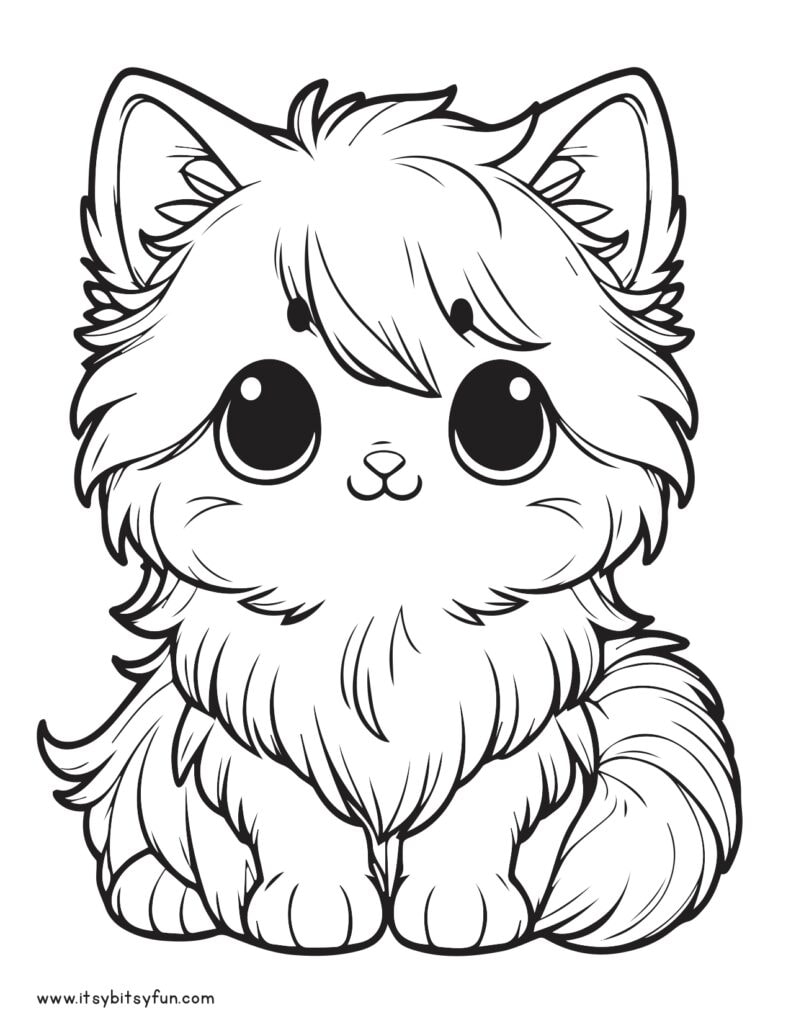Adorable furry cat image to color.