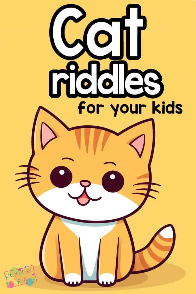 Cat riddles for kids