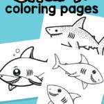 Free Printable Shark Coloring Pages