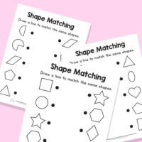Same Shape Matching Worksheets