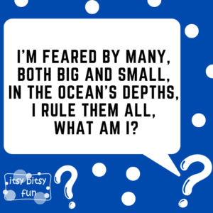 Shark Key Mouse Image Name Riddle Shark Riddles for Kids - Itsy Bitsy Fun