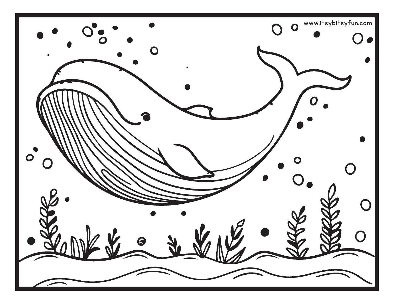Printable Whale Coloring Pages Furtive Printable Printable Whale Coloring Pages Furtive Printable