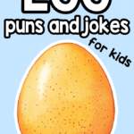 Egg Puns and Jokes for Kids