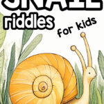 Snail Riddles for Kids