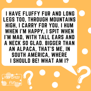 25+ Alpaca and Llama Jokes and Riddles for Kids - Itsy Bitsy Fun