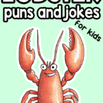 Lobster Puns and Jokes for Kids