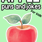 Apple Puns and Jokes for Kids