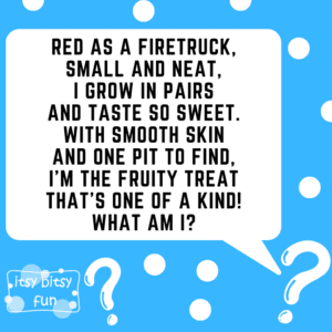 Cinnamon Riddles Cherry Riddles for Kids - Itsy Bitsy Fun