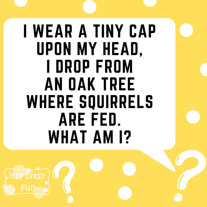 Acorn Riddles for Kids 2