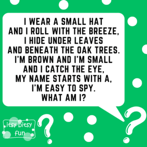 Acorn Riddles for Kids - Itsy Bitsy Fun