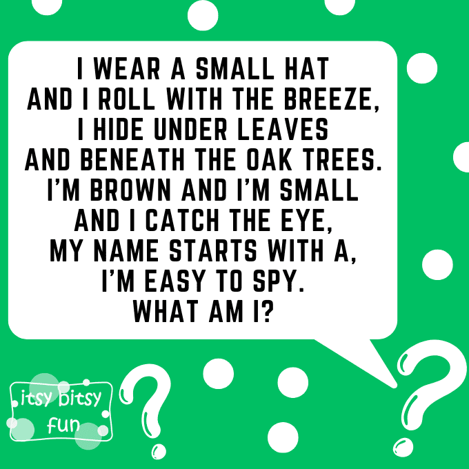 Acorn Riddles for Kids 3