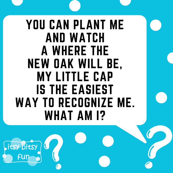 Acorn Riddles for Kids 4