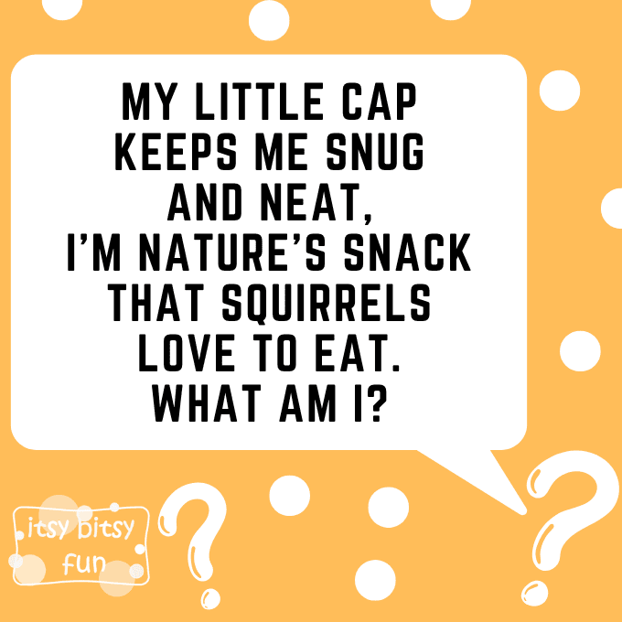 Acorn Riddles for Kids 5