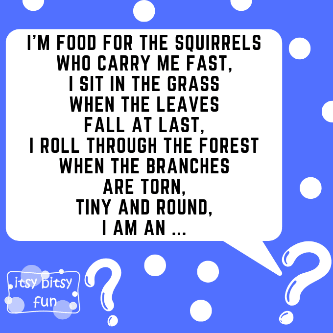 Acorn Riddles for Kids 7
