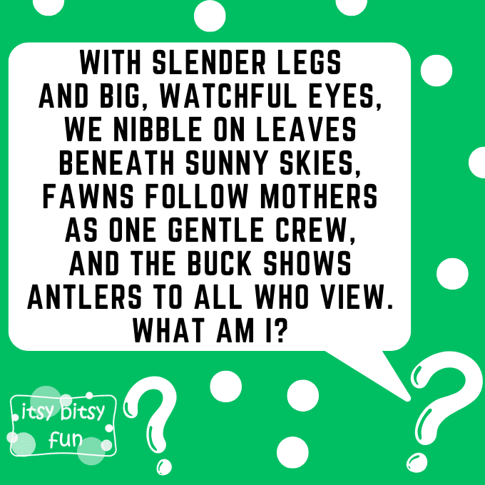 Deer Riddles for Kids 1