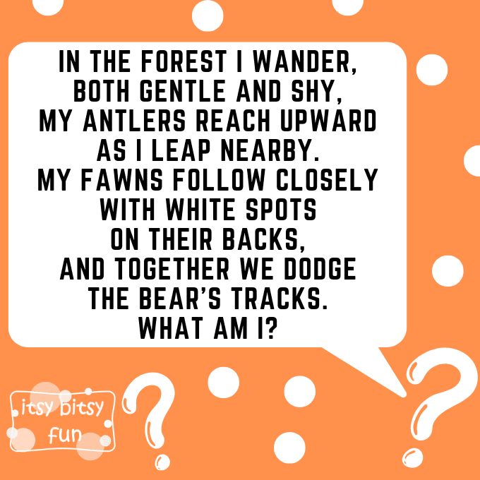 Deer Riddles for Kids 2