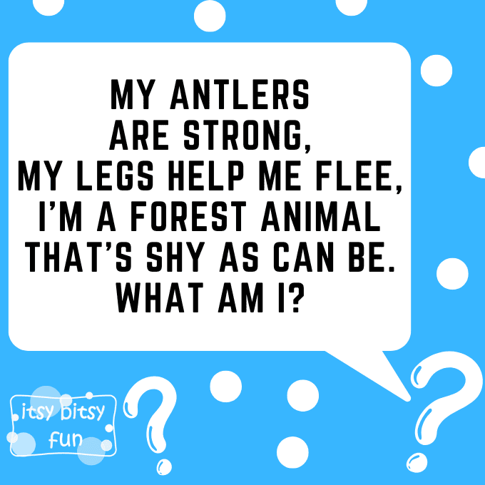 Deer Riddles for Kids 3