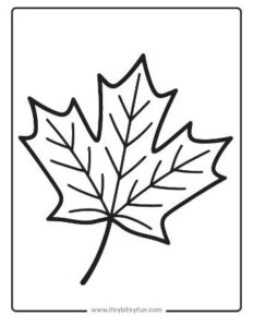 Fall Leaves Coloring Pages - Itsy Bitsy Fun