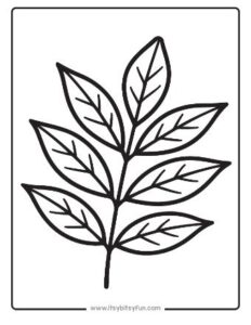 Fall Leaves Coloring Pages - Itsy Bitsy Fun