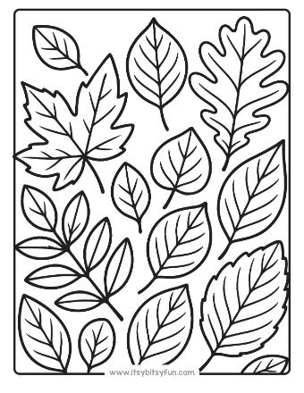 Fall Leaves Coloring Pages-009