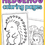 Hedgehog Coloring Pages