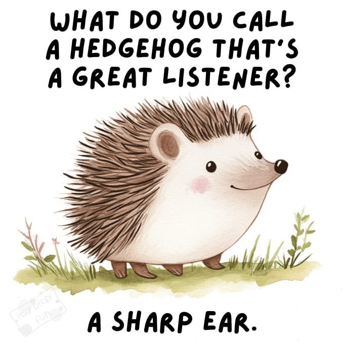 Hedgehog Jokes and Puns for Kids
