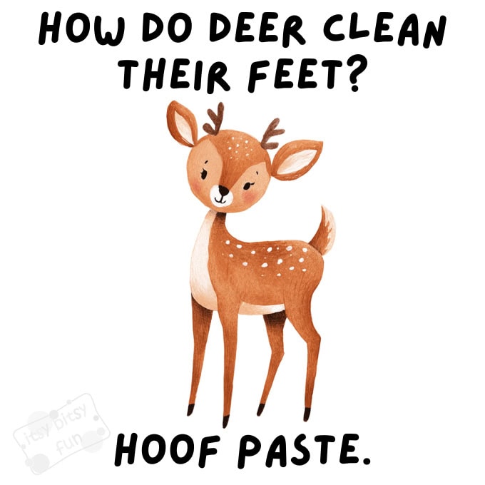 Hilarious Deer Jokes for Kids