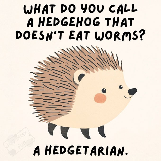 Hilarious Hedgehog Jokes