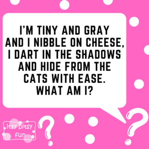 Mouse Riddles for Kids - Itsy Bitsy Fun
