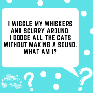 Mouse Riddles for Kids - Itsy Bitsy Fun