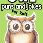 Owl Puns and Jokes for Kids