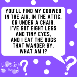 Spider Web Riddle Spider Riddles for Kids - Itsy Bitsy Fun