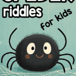 Spider Riddles for Kids
