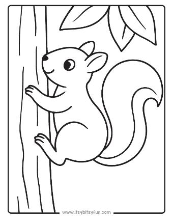 Squirrel Coloring Pages-005
